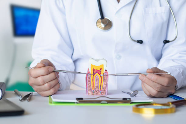 Best Emergency Wisdom Teeth Removal in Northville, MI